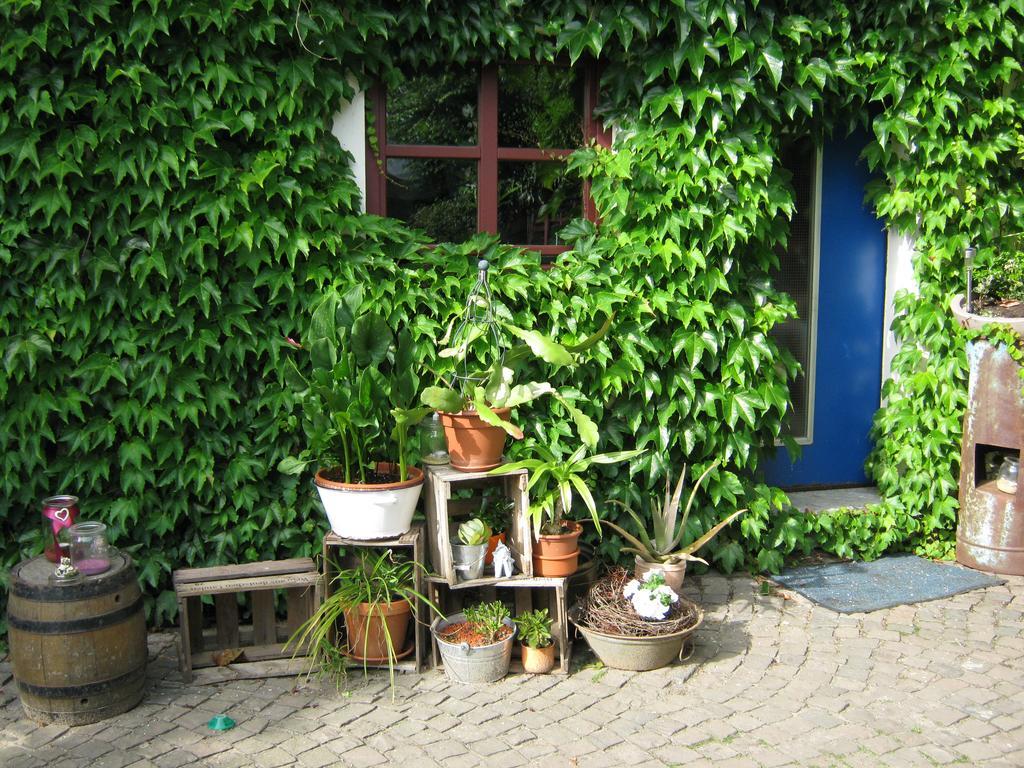 Stierstall-Suite Pension Wahlenau Exterior photo