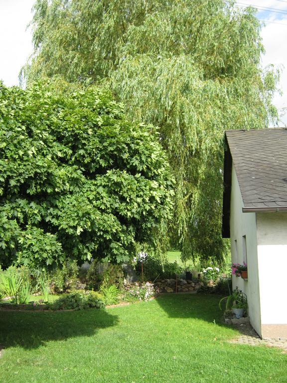 Stierstall-Suite Pension Wahlenau Exterior photo